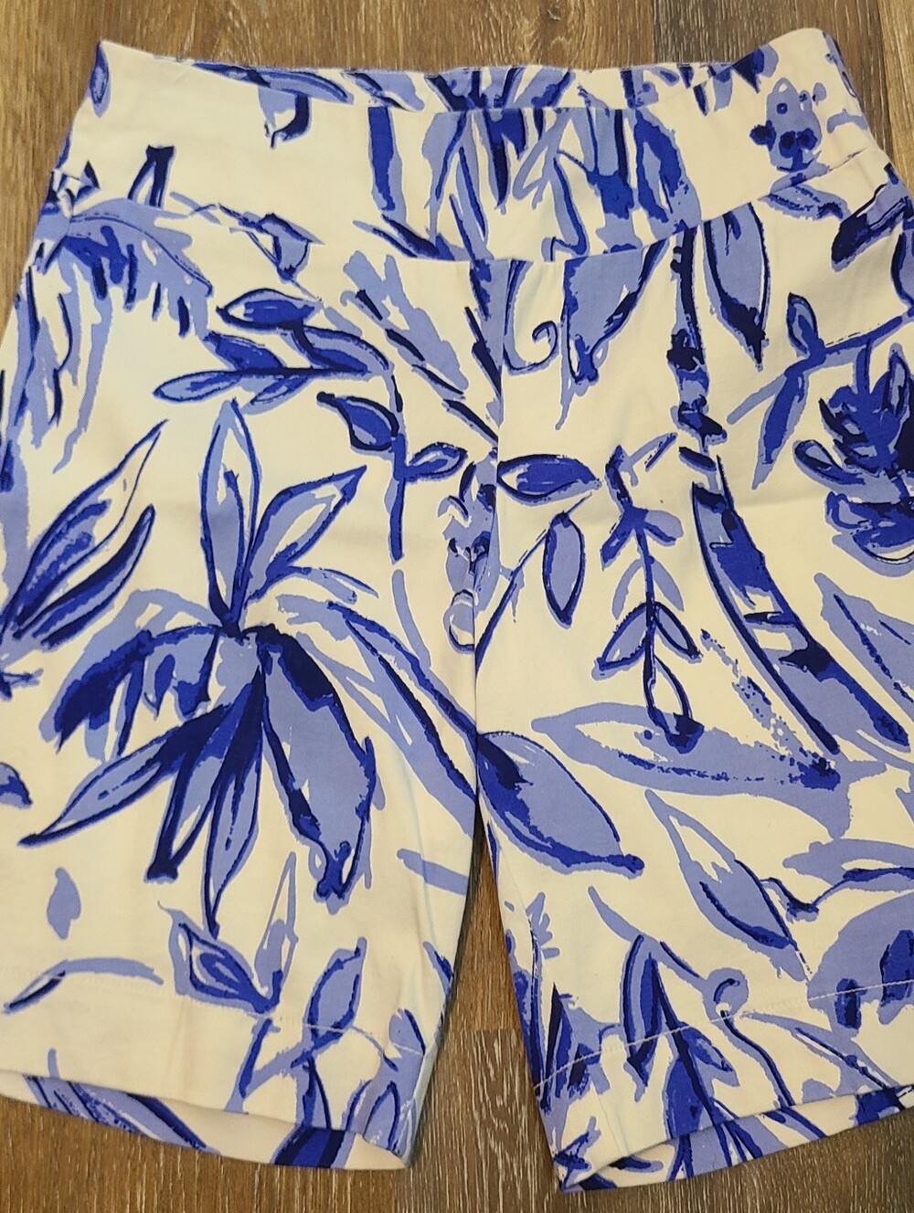 Erickson Blue and White Bermuda Shorts Size 6
